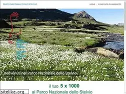 Sites similar to stelviopark.it