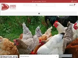 Sites similar to stengel-fussring.com
