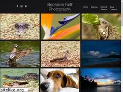 Sites similar to stephaniefaith.com