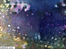 Sites similar to stephenandrewsartist.com