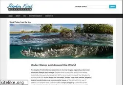 Sites similar to stephenfrinkcollection.com