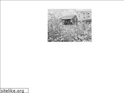 Sites similar to stephenrossgoldstein.com