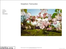 Sites similar to stephentomasko.com