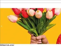 Sites similar to sterkado.nl