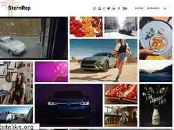 Sites similar to sternrep.com