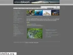 Sites similar to stevebloomshop.com