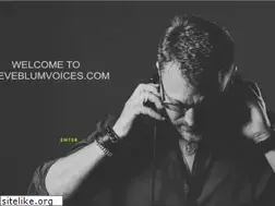 Sites similar to steveblumvoices.com