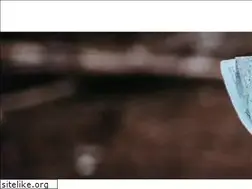 Sites similar to stevecurington.com