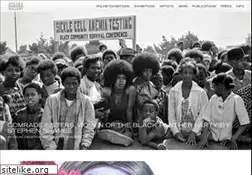 Sites similar to stevenkasher.com
