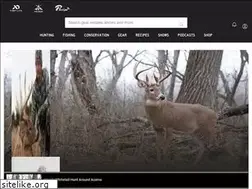 Sites similar to stevenrinella.com
