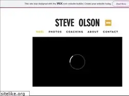 Sites similar to steveolsonsite.com