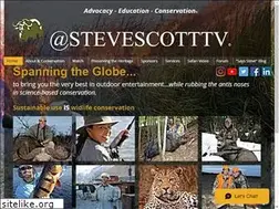 Sites similar to stevescott.tv