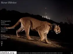Sites similar to stevewinterphoto.com