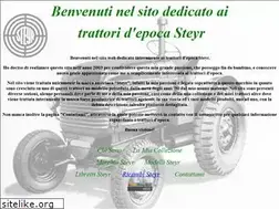Sites similar to steyr-epoca.it
