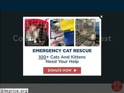 Sites similar to sthuberts-edit.squarespace.com