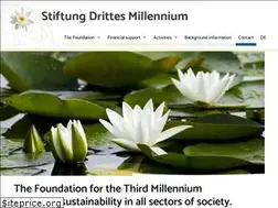 Sites similar to stiftung-drittes-millennium.com