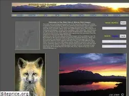 Sites similar to stikinewildimages.ca