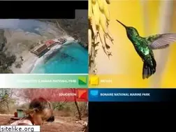 Sites similar to stinapabonaire.org