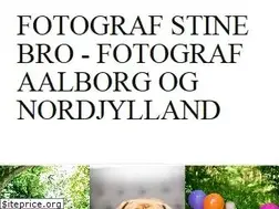 Sites similar to stinebro.dk