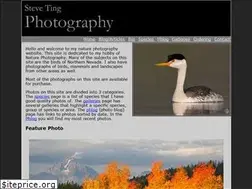Sites similar to stingphotography.com