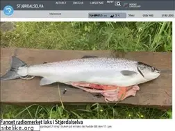 Sites similar to stjordalselva.no