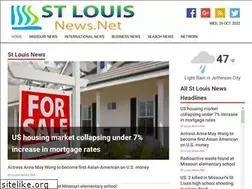 Sites similar to stlouisnews.net