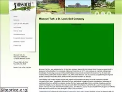 Sites similar to stlouissodcompany.com