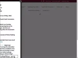 Sites similar to stlukeseg.org