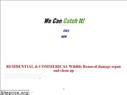 Sites similar to stlwildliferemoval.com