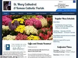 Sites similar to stmarylansing.org