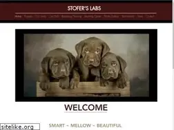 Sites similar to stoferslabs.com