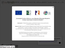 Sites similar to stolarnialobzow.pl