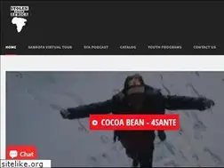 Sites similar to stolenfromafrica.com