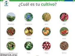Sites similar to stoller.pe