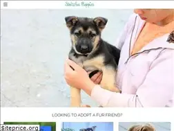 Sites similar to stoltzfuspuppies.weebly.com