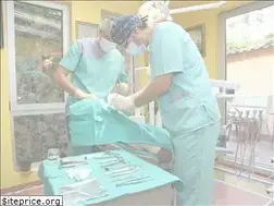 Sites similar to stomatologija-vajagic.rs
