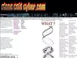 Sites similar to stonecoldcyber.com