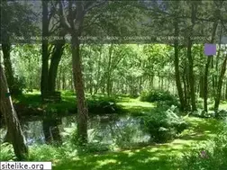 Sites similar to stonelanegardens.com