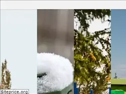 Sites similar to stonyplain.com