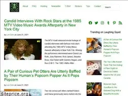 Sites similar to store.laughingsquid.com