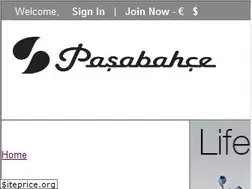 Sites similar to store.pasabahce.com