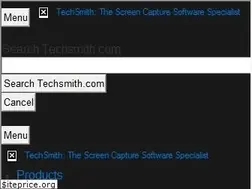 Sites similar to store.techsmith.com