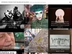 Sites similar to storiesfromthemuseumfloor.wordpress.com