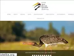 Sites similar to storkibisspoonbill.org