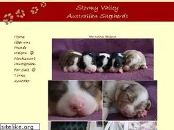 Sites similar to stormy-valley.de