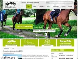 Sites similar to stragona.pl