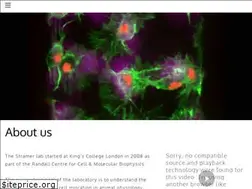 Sites similar to stramerlab.com