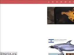 Sites similar to strategy.style