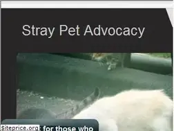 Sites similar to straypetadvocacy.org