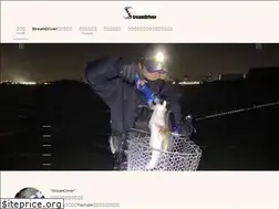 Sites similar to stream-driver.net